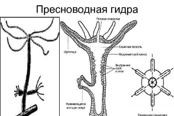 Актуальная ссылка на кракен kraken014 com