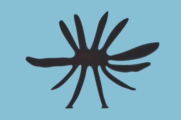 Kraken зеркала маркетплейс
