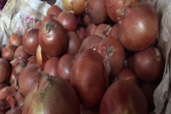 Пользователь не найден кракен