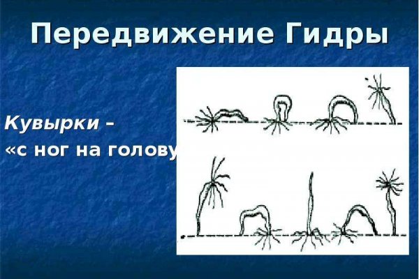 Кракен сайт биз