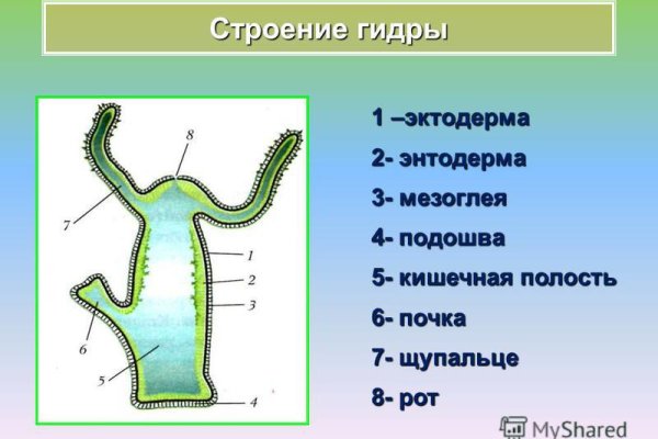 Кракен магазин krakens13 at