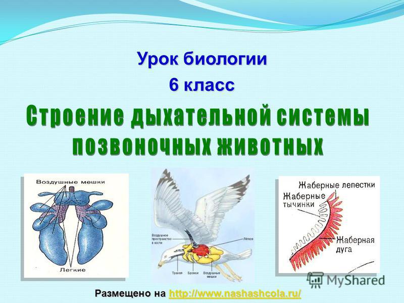 Кракен магазин наркотиков